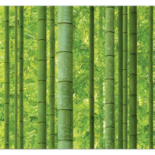 bambus zeleny syty obyvacka prirodny rastlina les luxus hotel spalna pratelna tapeta.jpg